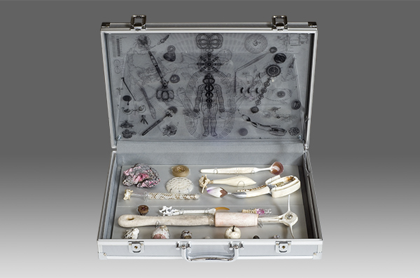 Spinal Architect, Koffer mit Objekten und Print auf Acrylglas, aus der Serie Mobilmachung von Stefan Zöllner
