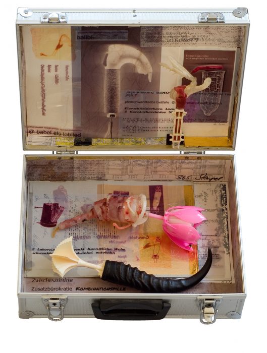 A beautiful mind, Koffer mit Objekten von Stefan Zoellner