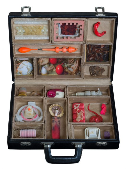 Die Antwoord , Koffer mit Objekten von Stefan Zoellner