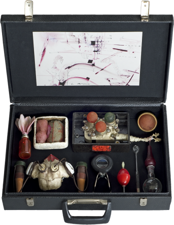 Petal Polarons, Koffer mit Objekten von Stefan Zoellner
